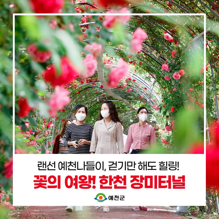 1.예천군 한천체육공원 장미터널